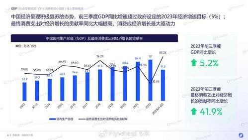 上半年人均可支配收入突破20733元，经济形势分析与展望 