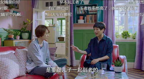 女婿短剧全集免费观看，家庭情感剧的魅力与观看宝典
