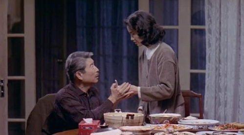 免费观看，男女冲突短剧，探索情感纠葛的影视世界