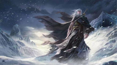 青龙至尊免费观看，精彩剧情一览无余