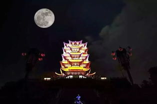 嫦娥剧场，免费短剧，演绎精彩尽收眼底