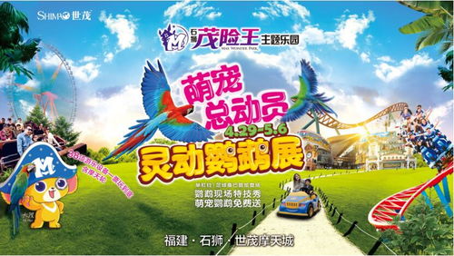 心意相通，免费短剧的快乐探索之旅
