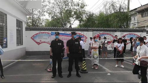 傻子被打短剧，背后的故事与意义探索