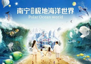 免费观看，绝佳命运短剧的精彩世界