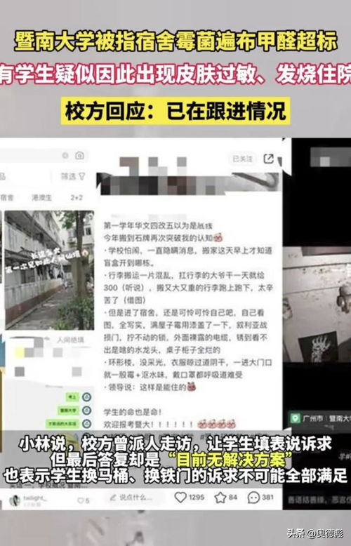 暨南大学宿舍环境问题频发，霉菌与甲醛超标引发关注
