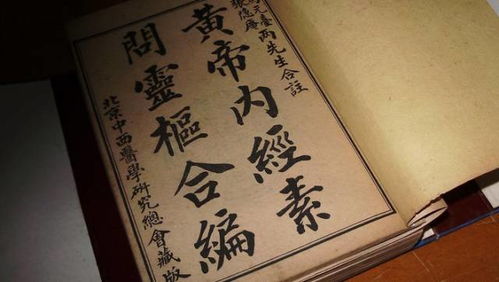 绝世中医，免费中医文化之旅的短剧标题