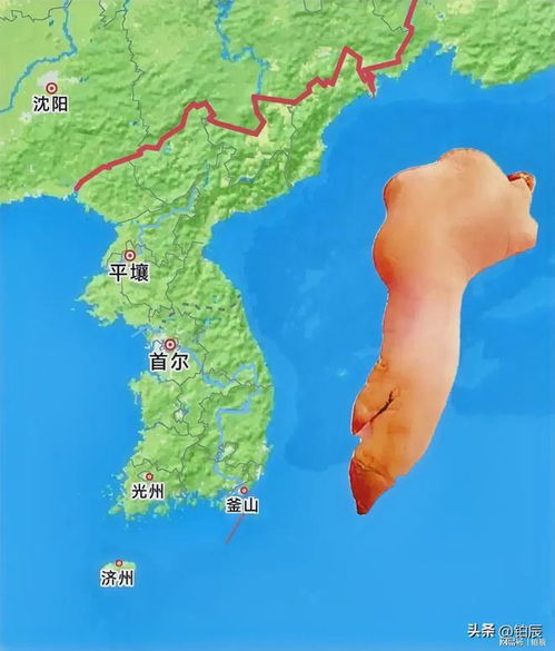 韩国国名改革之议，考虑将国名改为考瑞亚