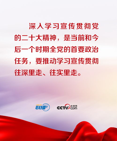 一图透视党的二十届三中全会公报要点