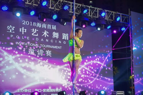 免费观看，月光短剧全集，尽享视觉盛宴，探索无限魅力