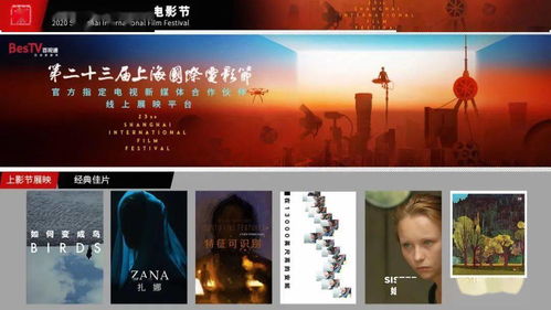免费观看天元短剧，探索与享受的影视新体验