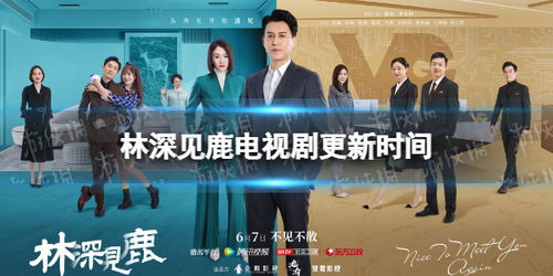 免费观看全集短剧视频，探索网络娱乐新风尚