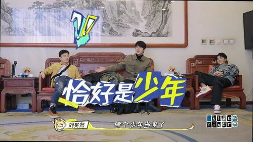 少年功夫短剧，免费观看的魅力与乐趣之旅