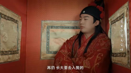 赘婿拜堂，免费短剧的吸引力与观影盛宴
