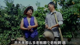 表弟表婶的免费短剧之旅，精彩世界尽收眼底