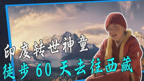前世记忆，免费观看的短剧指南
