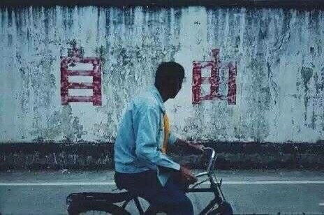 自由之路，探索爱情与婚姻的短剧