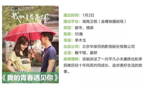 免费热播短剧，尽享精彩时刻全剧观看指南