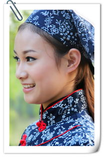 免费观看，丫鬟小姐的魅力之旅