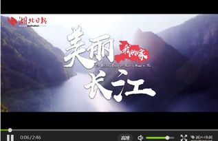 鱼儿夫人，一部不容错过的免费短剧