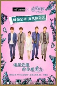 盛夏倾情，免费短剧的魅力与乐趣体验