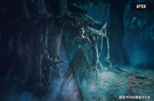 有毒婚姻，情感深渊的影视探索之旅
