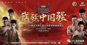免费观看，探索中国武术的魅力——功夫视频短剧