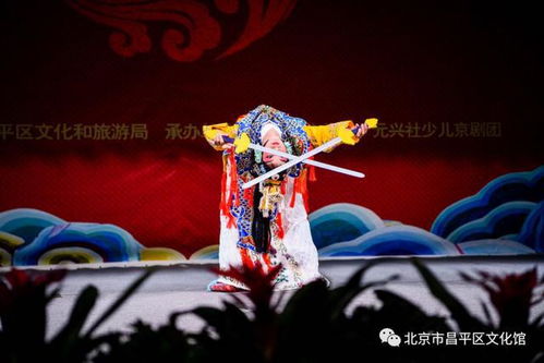 重返地球之旅，免费观看的精彩短剧