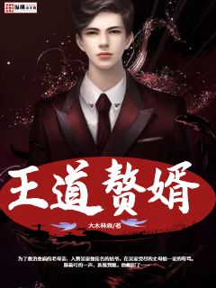 神龙赘婿，国语版免费观看