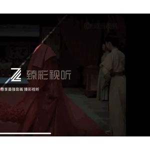免费观看帅哥短剧视频，尽享视觉盛宴的精彩体验