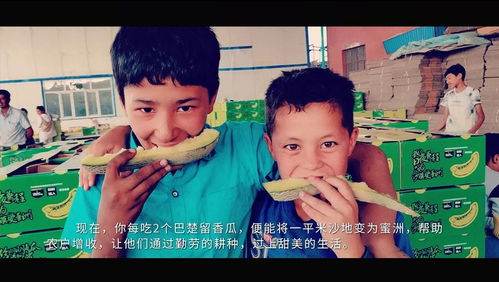 哥哥的傻气人生——一部免费观看的短剧