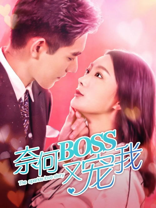 双面夫妇，深度解析免费高清短剧的魅力与解析
