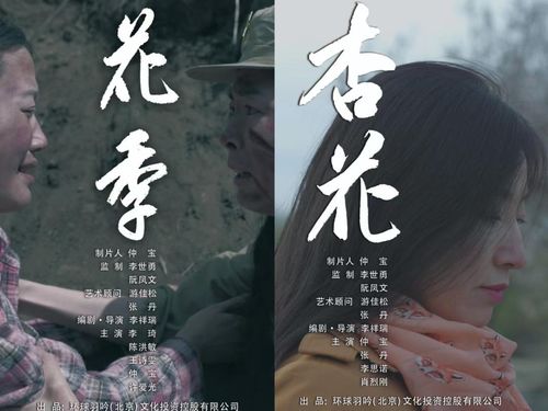 短剧巅峰之作，最强弃婿免费观看指南