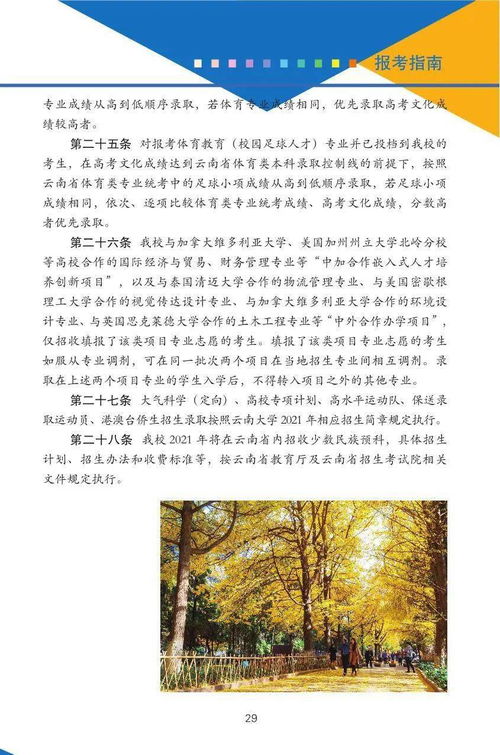 大美丽，热门短剧免费观看指南