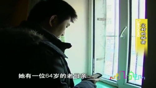 寻找亲人之路，短剧全免费观看