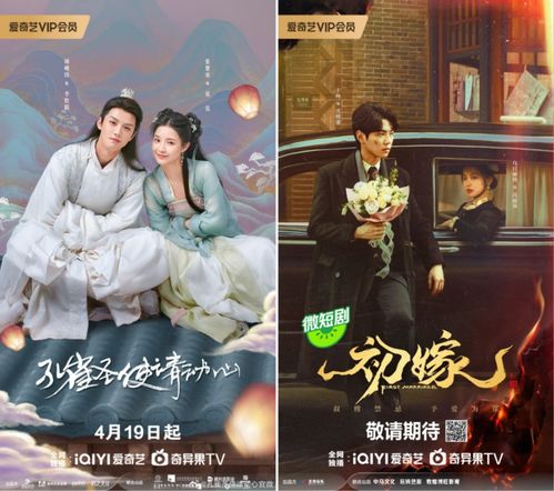 免费观看我不嫁短剧标题。