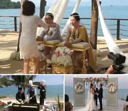 免费观看，浪漫之旅之捡个新娘