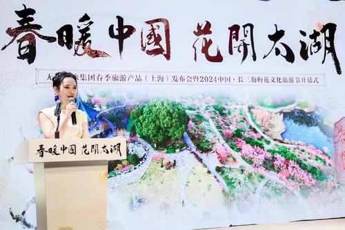 免费探索，陆云短剧的魅力之旅