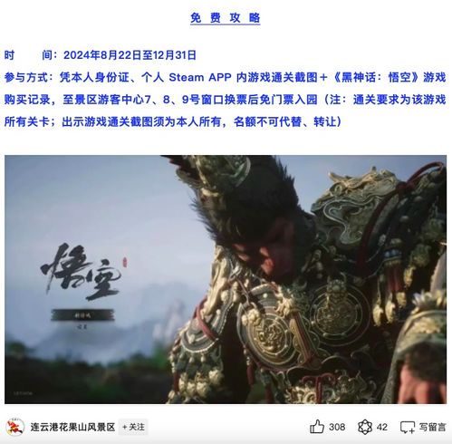 免费观看的魅力之旅，短剧龙云天下