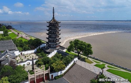 抱怨型父母短剧，免费观看与深度解析