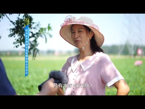 乡村故事中的女性魅力与力量——免费观看短剧