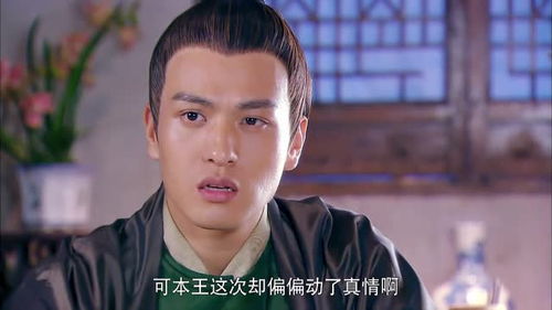 王爷与侍卫的深情之恋