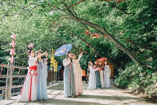 桃园小村医，免费短剧的魅力之旅