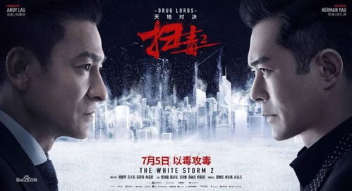 短剧狂飙，免费观看全集的崛起之路