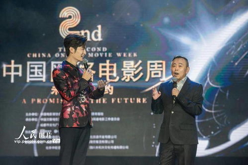 免费观看张野短剧全集，探索网络影视新风尚