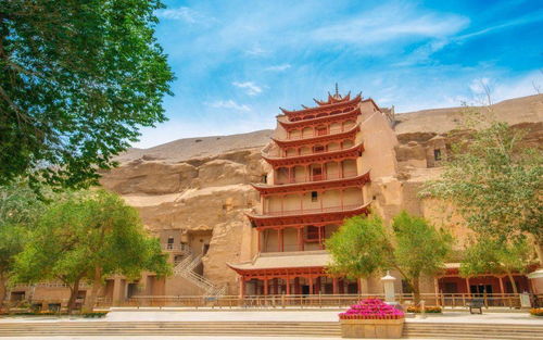 爱无畏，免费短剧之旅的魅力探索