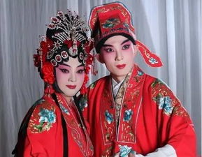 免费观看，短剧大夏蟒袍的精彩体验