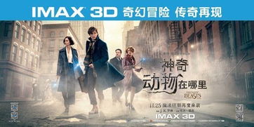 重温经典，免费回顾短剧回忆的转场之旅