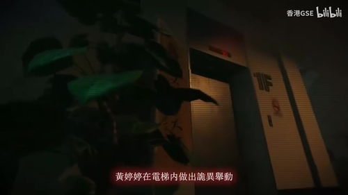 免费观看，小伙捉女鬼的奇幻冒险短剧