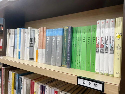 都市小天师，免费短剧的奇幻之旅