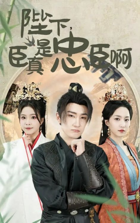 豪门风云，免费畅享少主短剧的魅力之旅